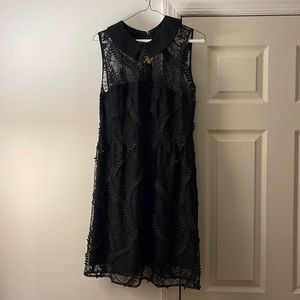 Nanette Lenore size 10 Black shift dress with collar